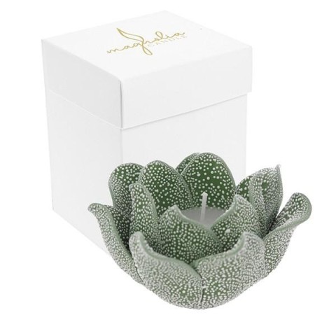 CANDELA MAGNOLIA VERDE PORCELLANA GOCCE DI RUGIADA 10X6.5 BOX